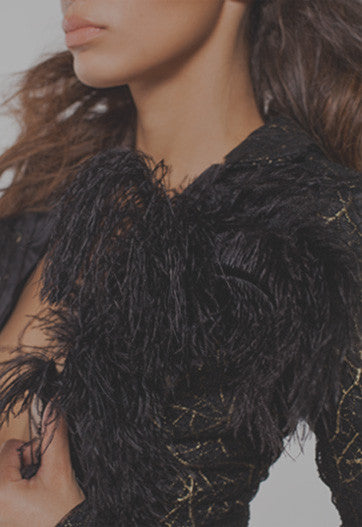 Latrodectus Collection